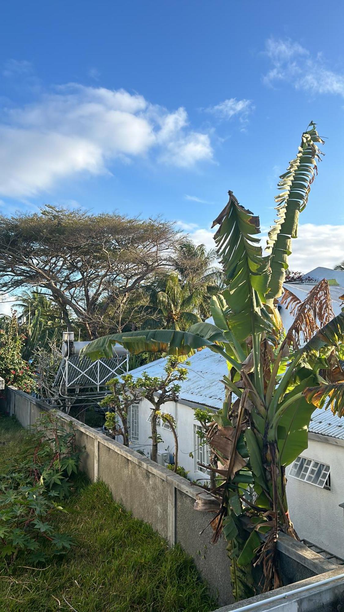 Coastal View Apartments Grand Baie Exterior foto